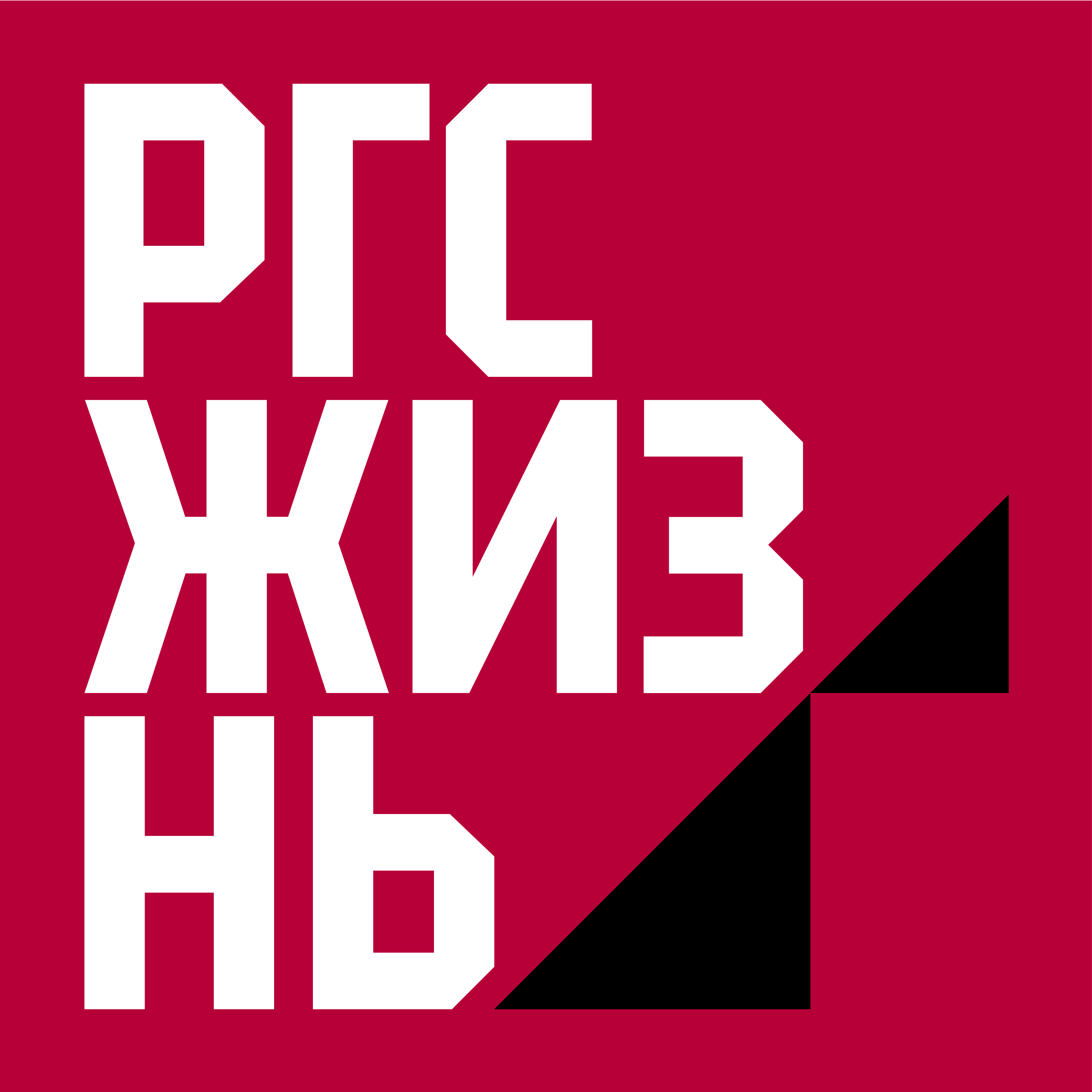 Employer Logo